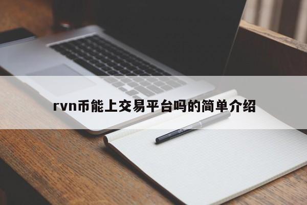 rvn币能上交易平台吗的简单介绍