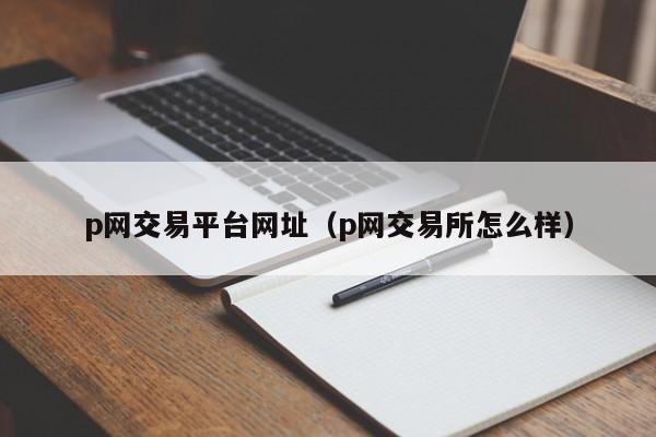 p网交易平台网址(p网交易所怎么样)