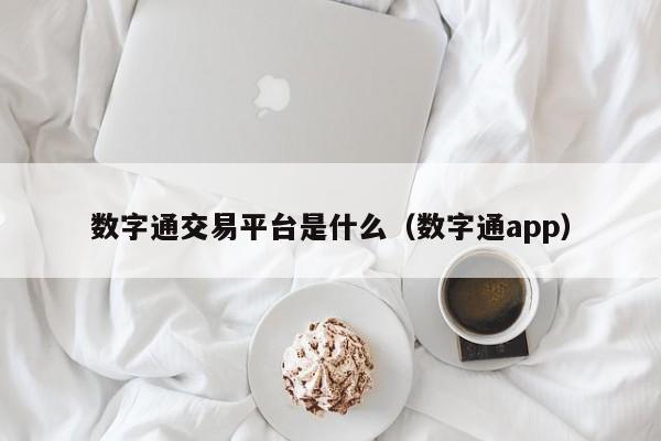 数字通交易平台是什么(数字通app)
