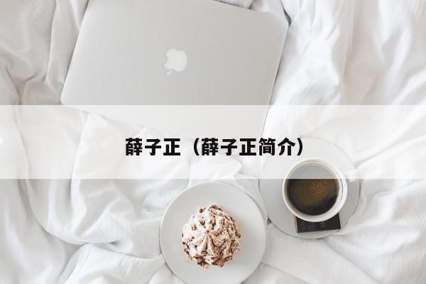 薛子正(薛子正简介)