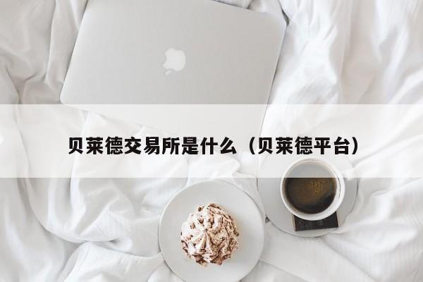 贝莱德交易所是什么(贝莱德平台)